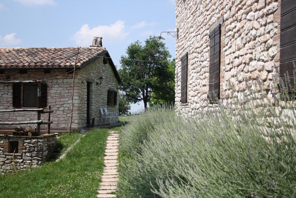 Agriturismo Valdifiori Sassoferrato Bagian luar foto